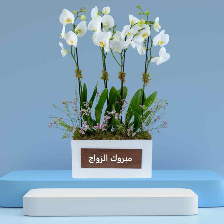 Custom Acrylic Boxes for Flowers (Only Acrylic Box) - Karyan Art | كاريان أرت 