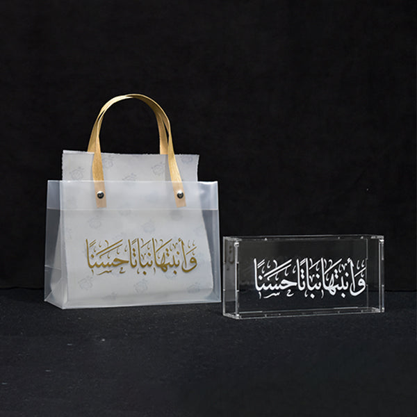 Acrylic Money box with Bag- 1